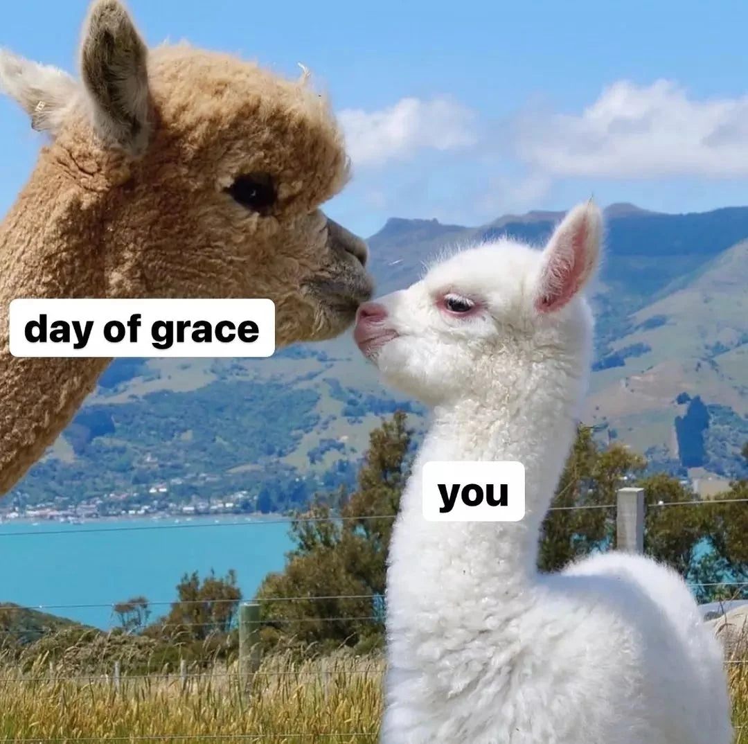 DAY OF GRACE